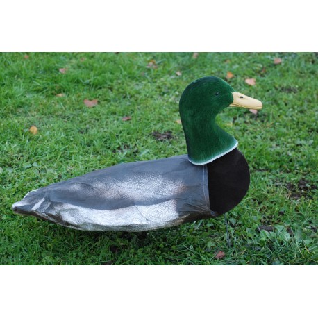 Aéro-blette canard colvert mangeur