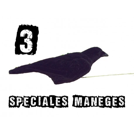 3 formes spéciales manège à corvidé